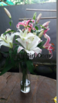 Bunga Vas Lily di Tangerang 085959000635 Kode : FG-VAS