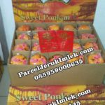 Jual Jeruk Imlek Ponkam